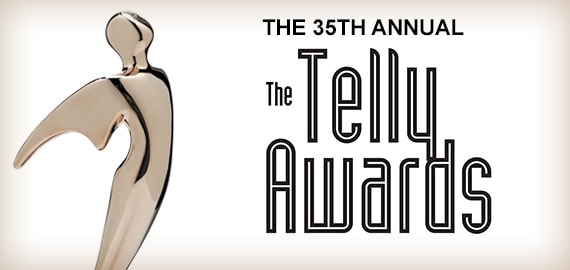 2014 Telly Awards Winner